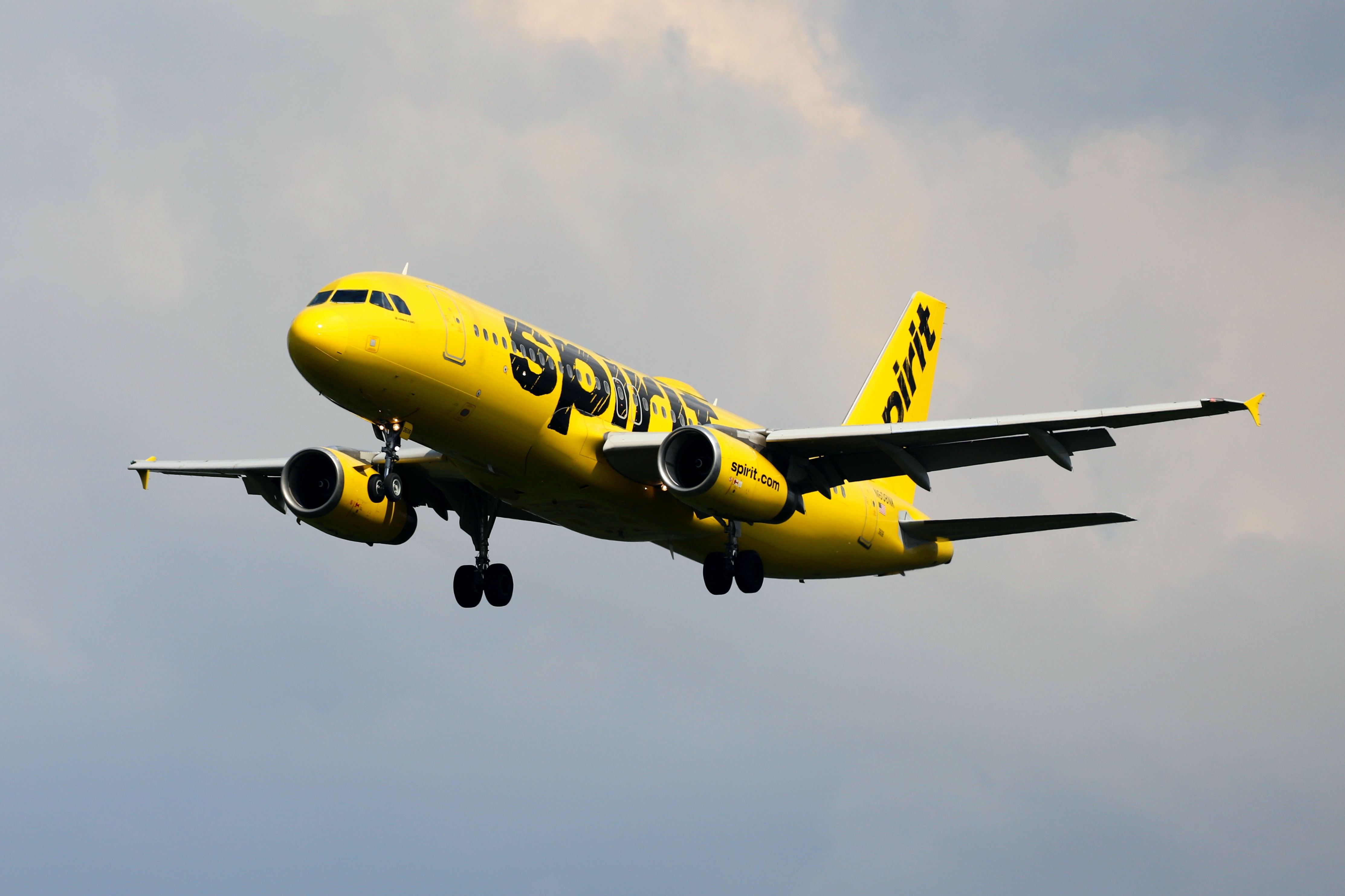 ¿Cómo hago una reserva en Spirit Airlines?